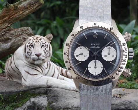 rolex daytona reference 626 unicorn|rolex unicorn watch price.